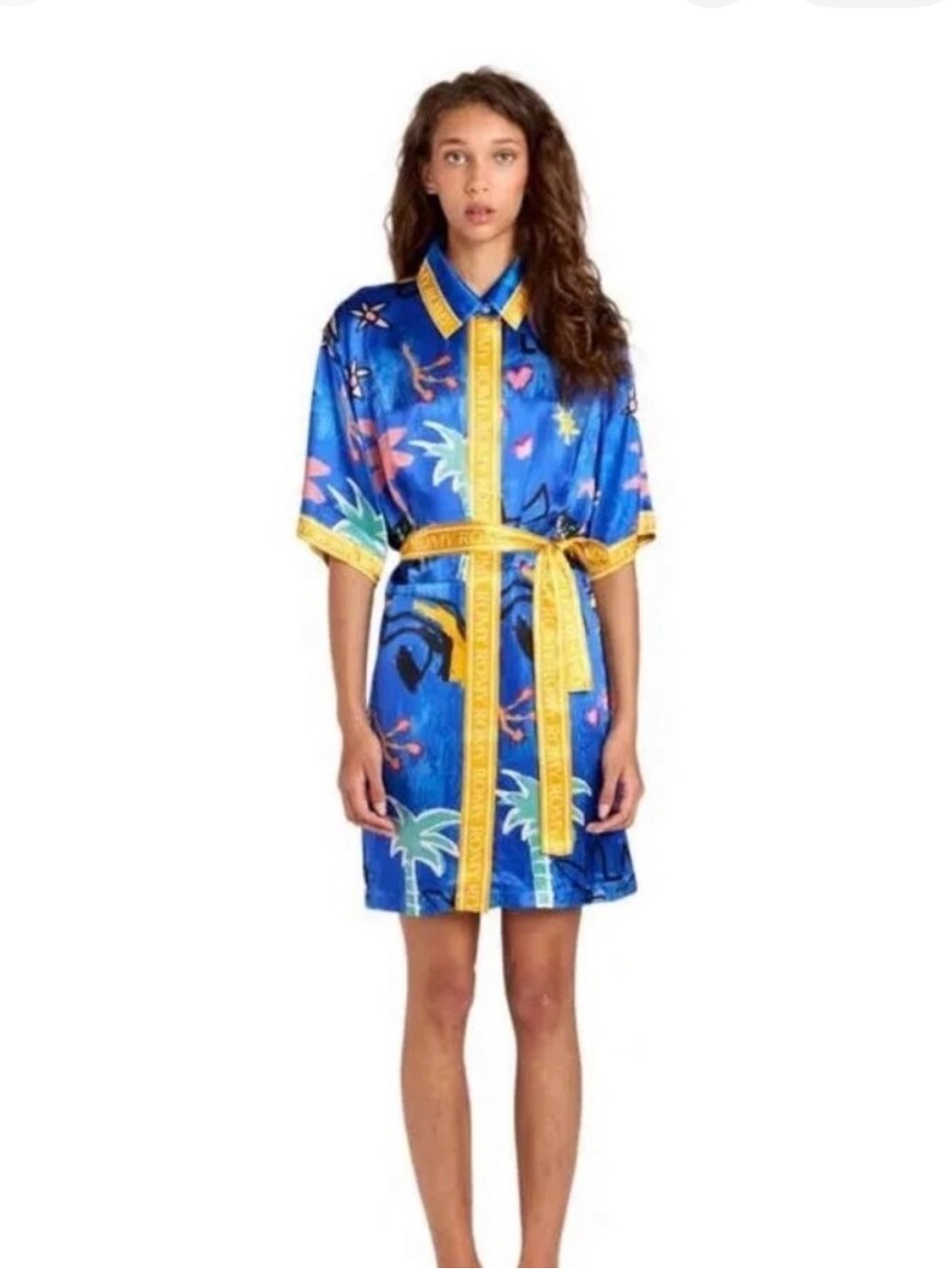 Romy Bold Blue Button-Front Dress with Yellow Stripe